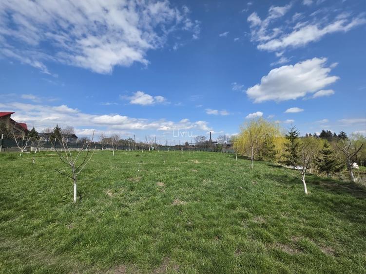 Vând teren cu iaz și livadă de nuci – Ilișești, aproape de Suceava - 6