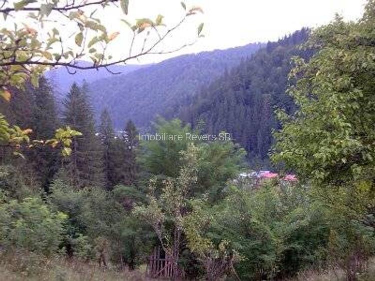 Teren agrement Voineasa IN SPATELE PRIMARIEI cu cabana ideal pentru pensiune - 3