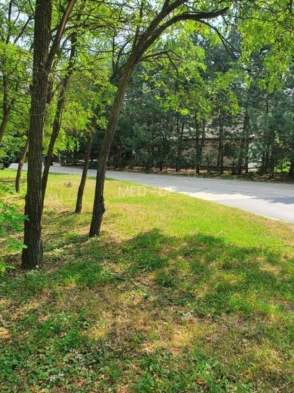 PARADISUL VERDE- teren in suprafata de 1 326 mp,. utilitati - 4