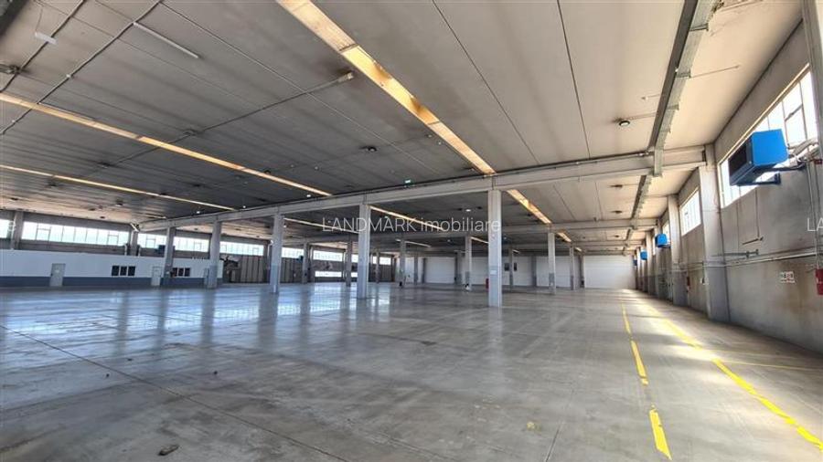 Hala industriala Timisoara, 2500 - 7500 mp , Calea Sagului - 5