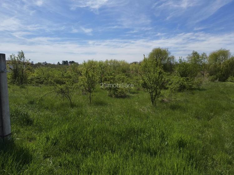 Teren intravilan 664 mp – Peris, Ilfov | Locatie linistita, ideal pentru casa - 9
