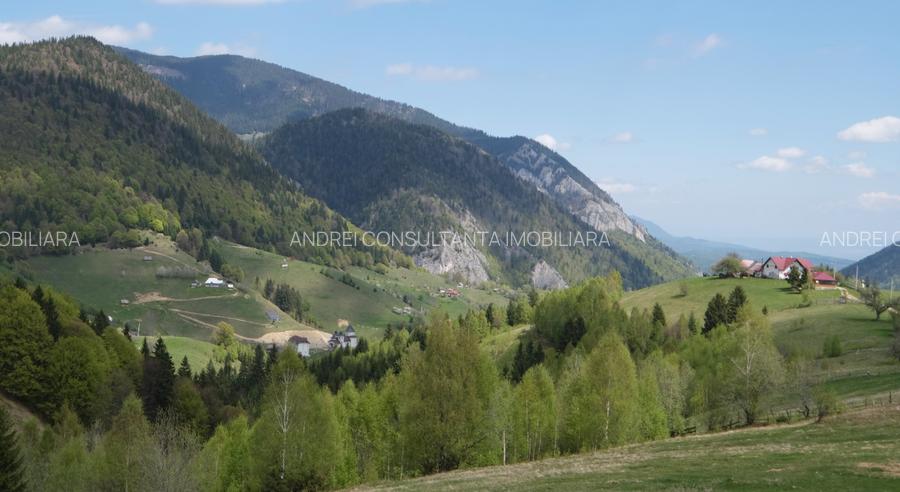 Vanzare 1266 mp teren superb Cheile Rasnoavei la munte langa padure si pensiuni - 9