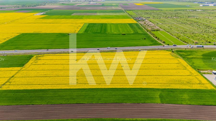 Teren 10.600 mp în Codlea – ideal pentru investiție industrială - 14