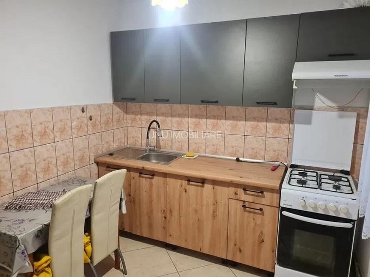 Apartament cu 2 camere - zona Podu Ros - Piata Nicolina - 2