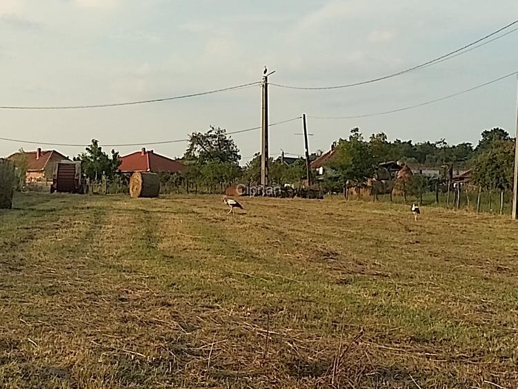 Teren invilan de vanzare - 3