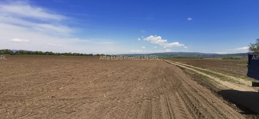 TEREN AGRICOL DE VANZARE - BOD - BRASOV 4,5 HA - 4