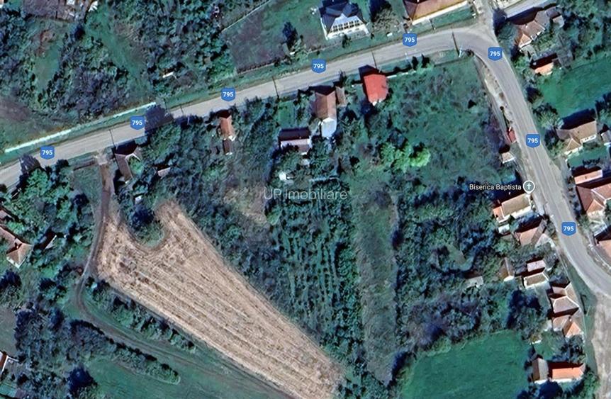 TEREN 2364 mp + CASA VECHE | CAUASD | BIHOR - 2