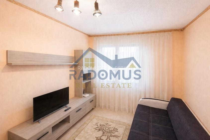 Garsonieră compartimentată în 2 camere - Blv. Republicii - Mobilată - 3