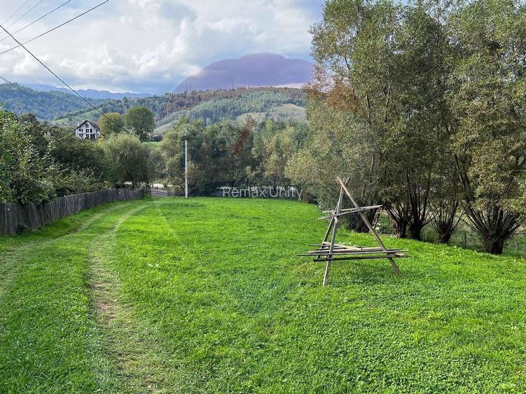 Teren 6,135mp Moieciu de Jos / Strada Principala - 4