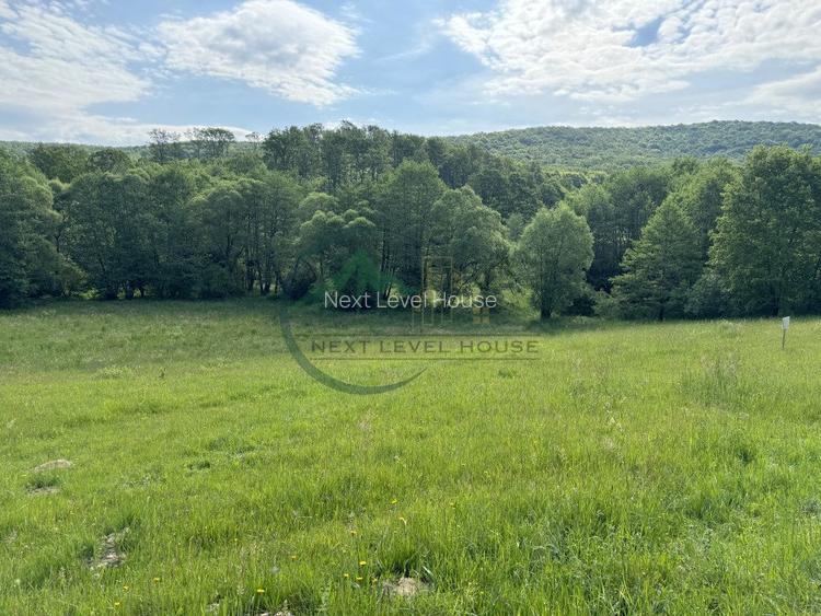 Teren extravilan - oportunitate investitie - 2