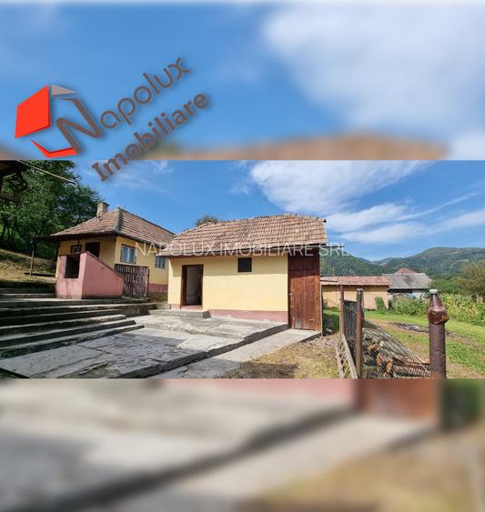 Casa deosebita in zona turistica pitoreasca Valea Ariesului - 5