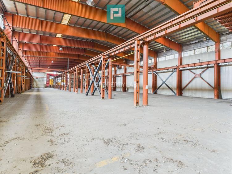 Hală industrială cu pod rulant și parcare betonată - 2