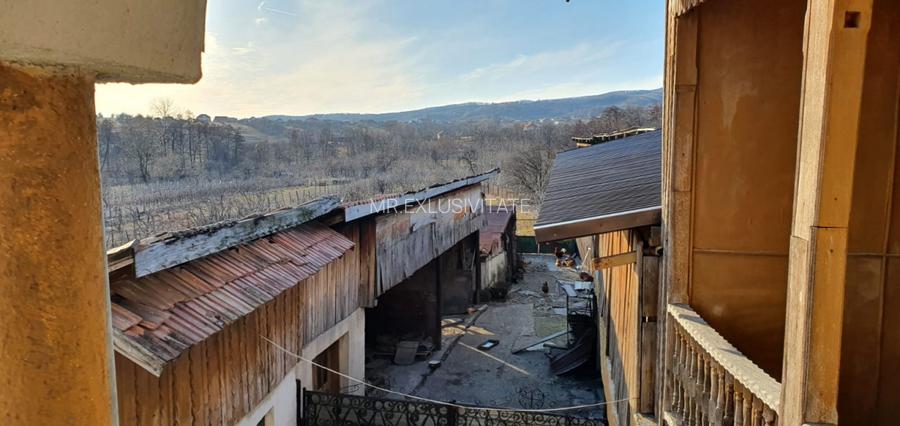 Casa / Pensiune de vanzare – Balta, Gorj  - 20