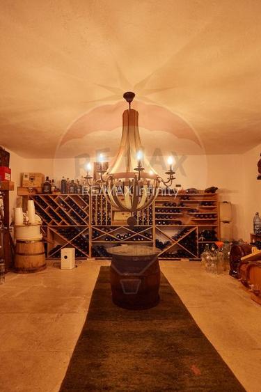 Investitie turistica langa Cluj – pensiune cu crama - 16