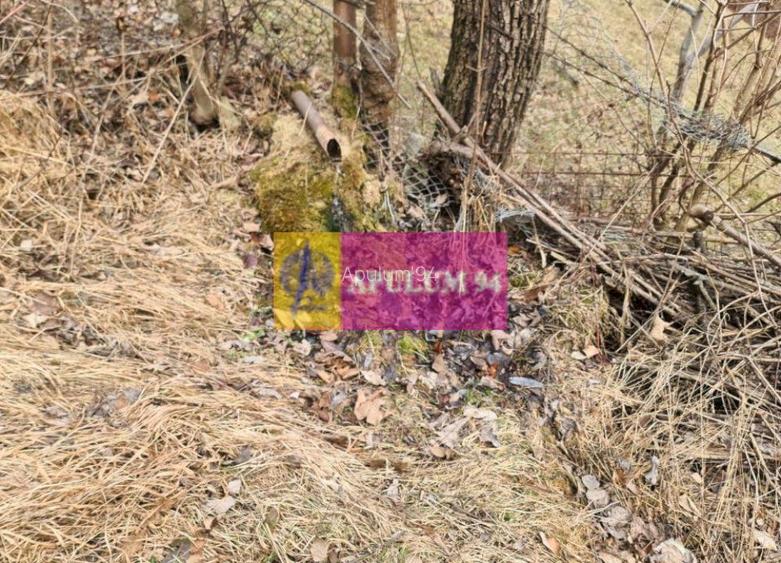 Teren de vânzare în Sinaia - Platou Izvor - 7