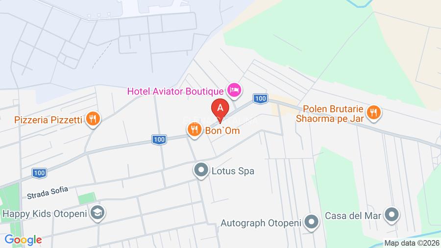 Vila spatioasa P+ 1+ POD locuibil ,Otopeni-23 August Hotel Aviator - 17