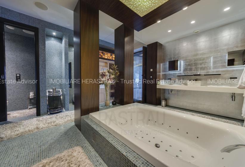 Asteria Suite | Penthouse exclusivist Herastrau | Vedere parc - 23