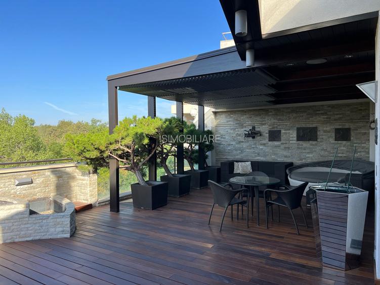 Penthouse parc Herastrau sos Nordului + 400 mp curte cu piscina - 21