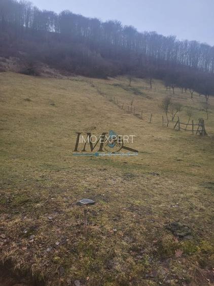 TEREN PENTRU CABANA PE VALEA TONII - 2