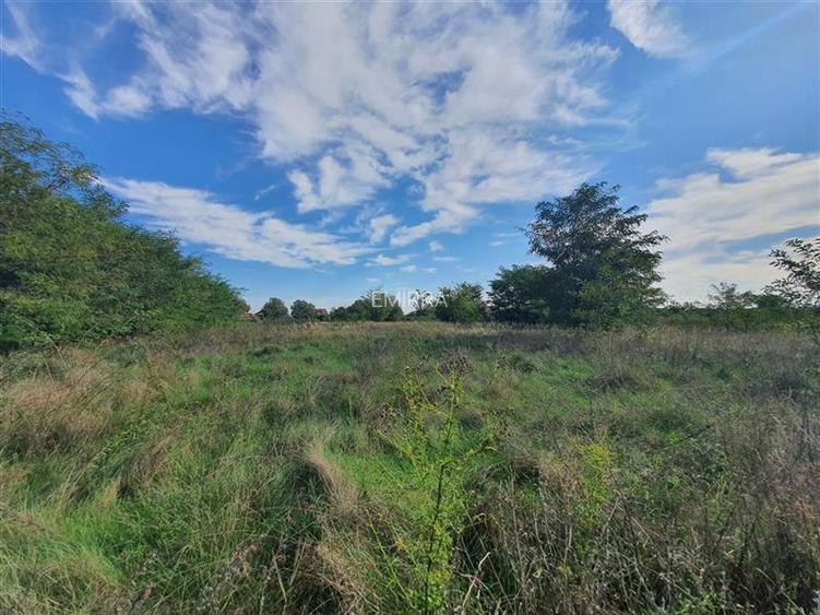 Teren de vanzare in Hemeius Margineni, judetul Bacau - 6