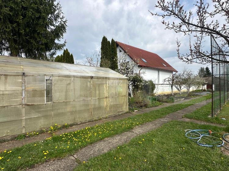 Investitie: Casa cu teren constructii si pastravarie - Prejmer, Brasov - 11