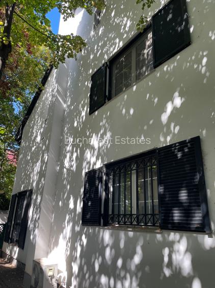 Iancu Nicolae vila 5 dormitoare gradina matura - 14