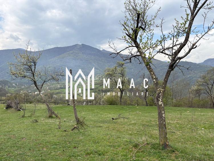 Teren de vânzare, 7750 mp I Orientare sudică I Caineni - 4