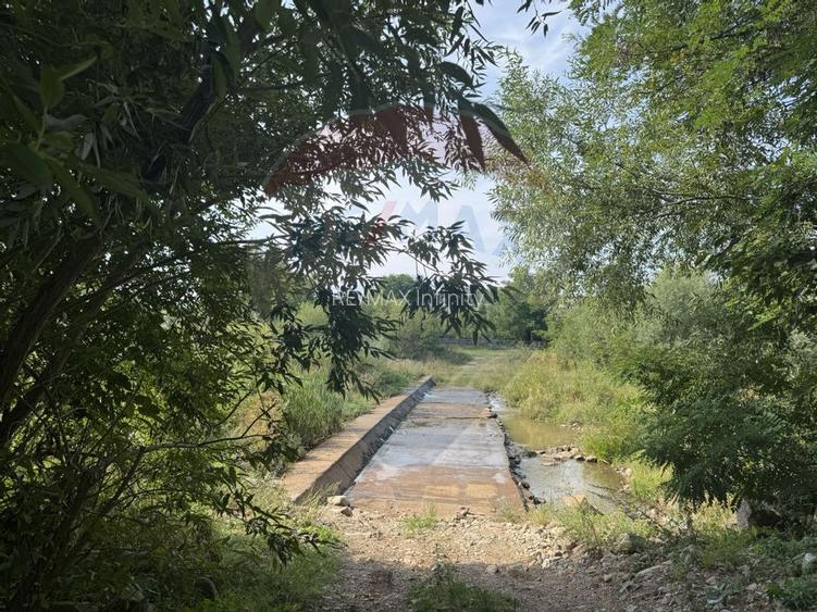 Teren 10.000 mp Calatele – Apuseni, langa rau, ideal investitie turism - 21