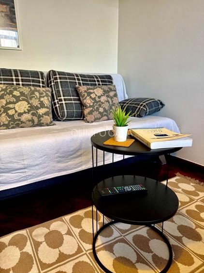 Garsoniera-Victoriei Popa Tatu- Creditabila-mobilata si utilata - 6