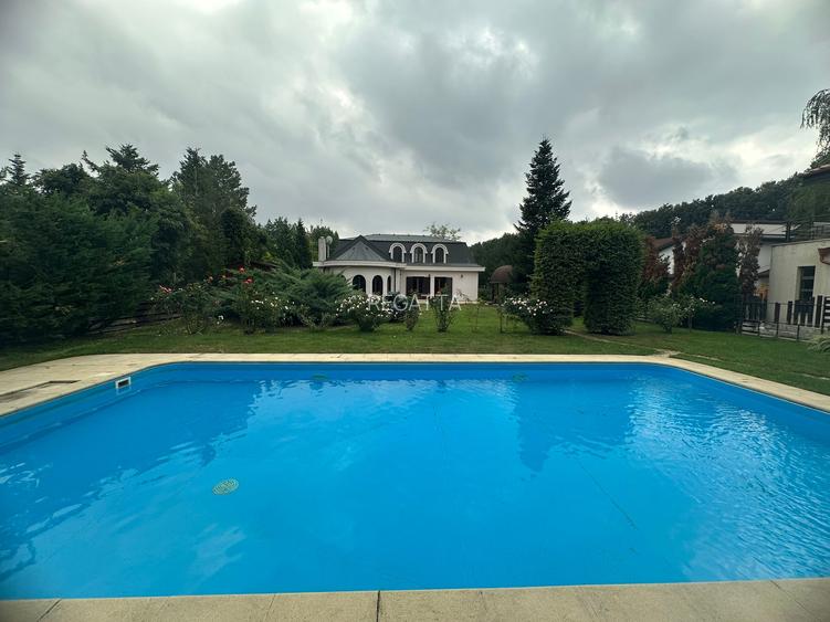 VILA CU IZ PROVENSAL  CU TEREN GENEROS SI PISCINA EXTERIOARA INCALZITA - 50