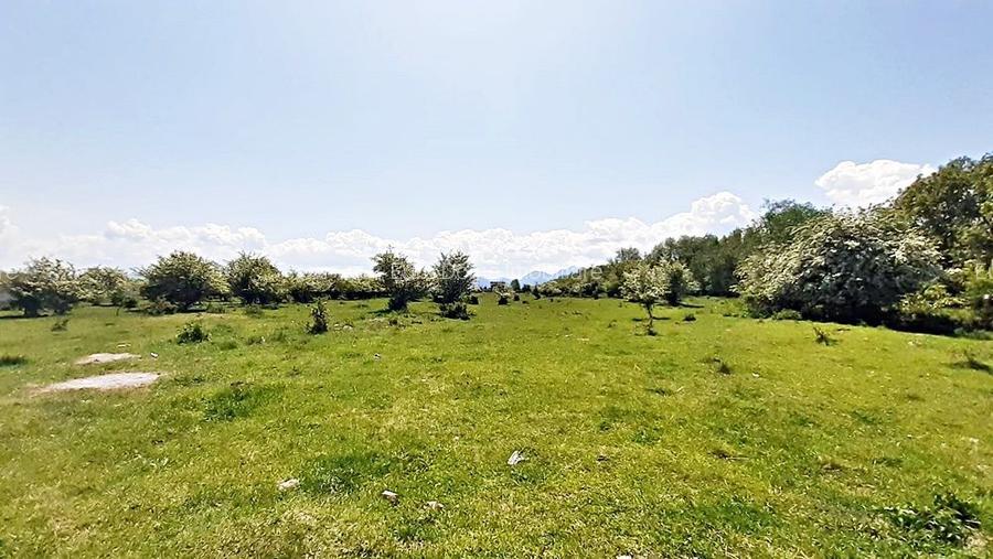 Sanpetru teren pentru dezvoltare imobiliara 4318mp, 55 euro/mp - 5