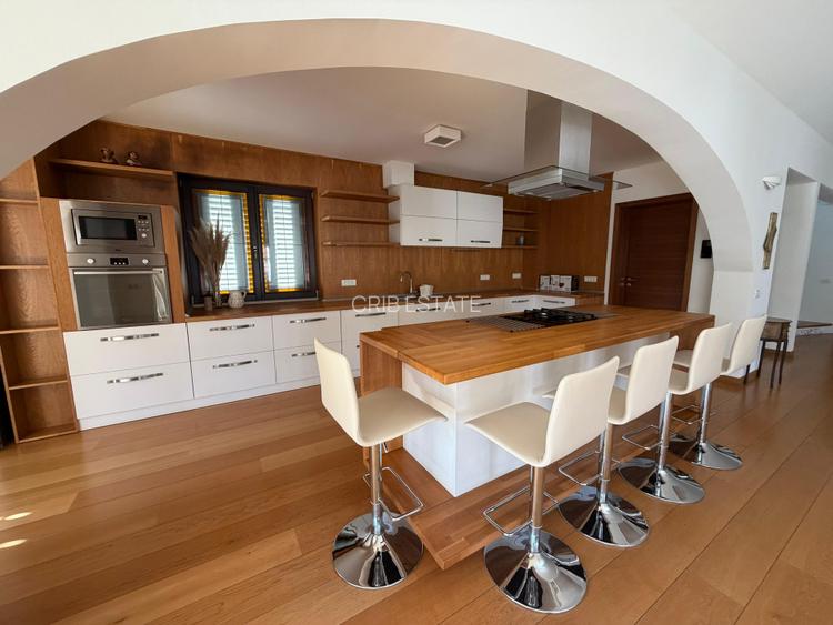 Vila cu piscina Iancu Nicolae Zoo Baneasa 6 dormitoare - 5