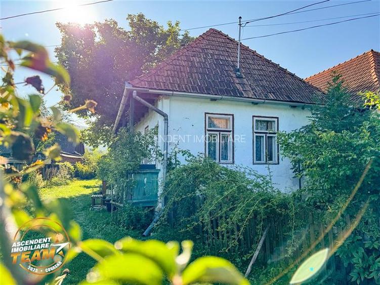 FILM! 3.000 mp teren intravilan cu proprietate traditionala de poveste,Zagon,Cov - 3