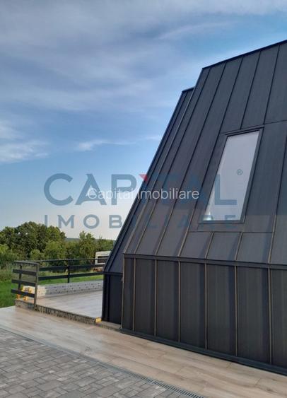 Oportunitate! Casa de vacanta A-frame, judetul Arges - 5