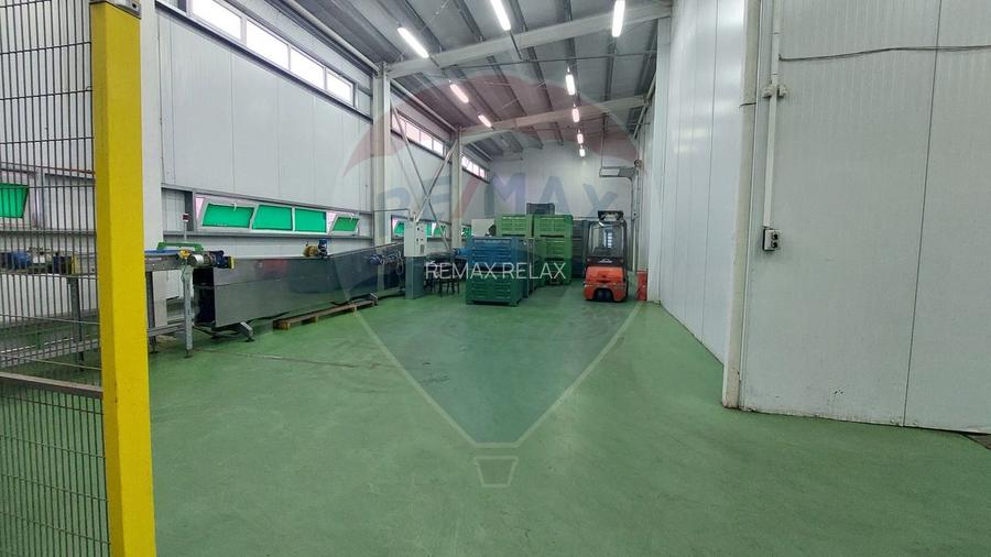 Depozit/Spațiu industrial Vaslui - 0% Comision cumparator - 40