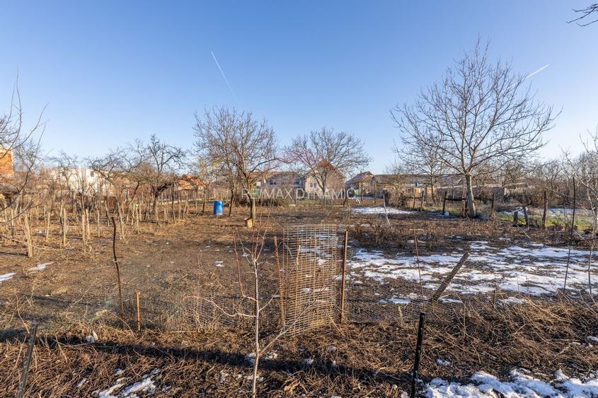 Gospodarie autentică bănățeană, cu teren generos și livadă – Frumușeni - 14