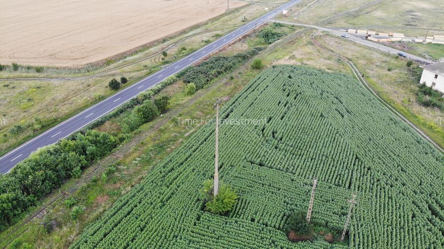 Vand Teren Extravilan Becicherecu Mic(zona industriala) 18.000mp,Utilitati - 3