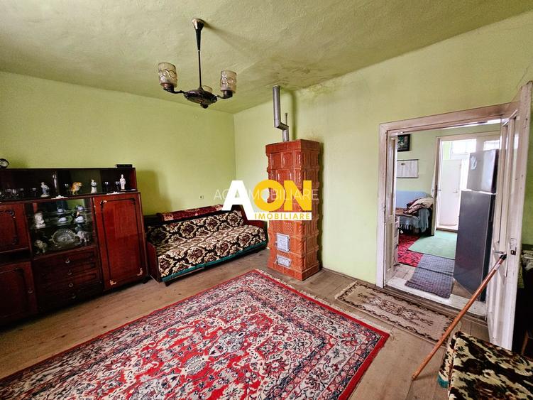 Casă traditională, 3 camere, 1766 mp teren, la asfalt, Vintu de Jos - 14