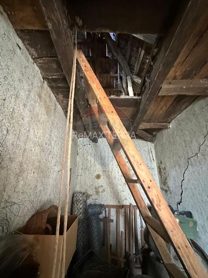 GOSPODARIE - liniste - natura - DE VANZARE - 7