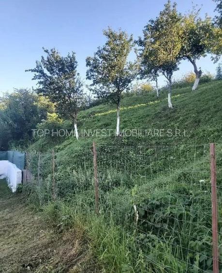 Teren intravilan de vanzare, in satul Gheorghieni! - 7