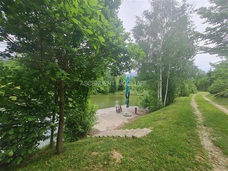 Refugiu idilic cu oglinda de apa, panorama montana, Glajerie/Rasnov, ideal mini - 31