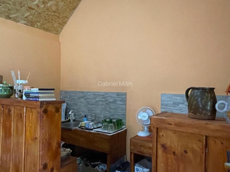 Casa de vanzare in localitatea Pustinis - 13