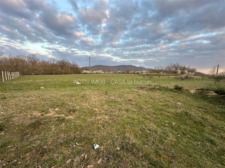 Bocsa Romana, 2 terenuri intravilan, 10.000 Mp.(59.900 Euro) si arabil, 80.000 M - 6