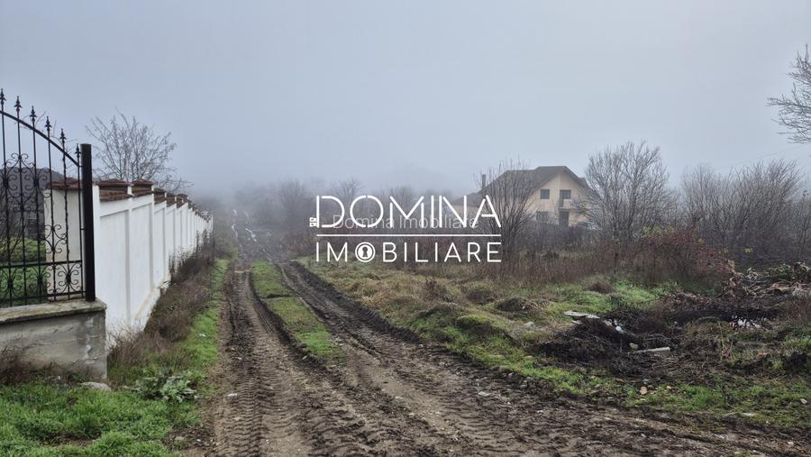 Vânzare teren situat în Târgu Jiu, Loc. Componentă Bârsești - 4