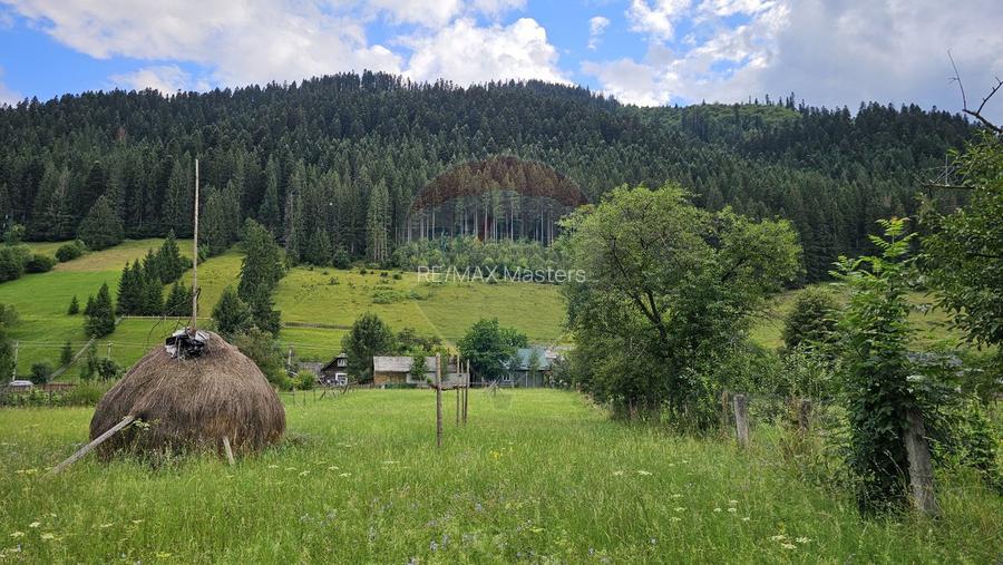 Casa 225 mp, teren intravilan 4822 mp C. Moldovenesc, Suceava - 7