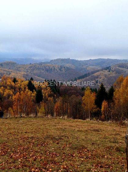 Oportunitate rară! Teren 7.283 mp, investitie garantată - 4