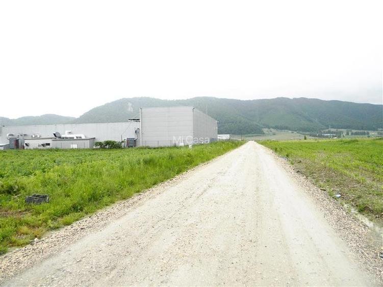 Teren pentru hale-Ghimbav-Joysonquin - 7