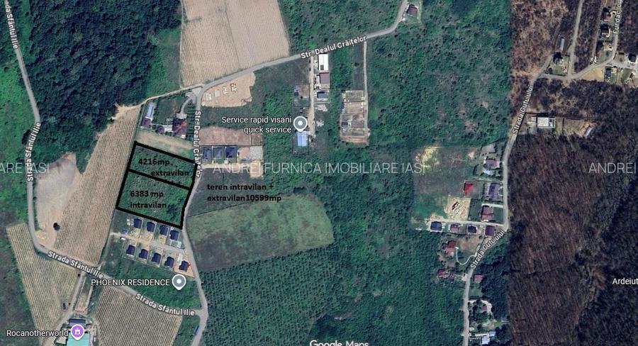 Visan str Dealul Craitelor TEREN 6383mp  si 4217mp utilitati  si transport in co - 9