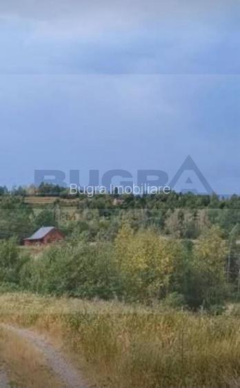 Teren extravilan, 4265 mp, zona Dangau Mare - 3