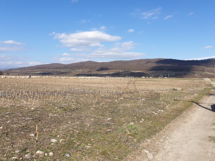 TEREN AGRICOL BABENI LANGA ABATOR LA PROVINCIA - pretabil ferma cu panour solare - 35